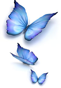 Reiki Butterflies